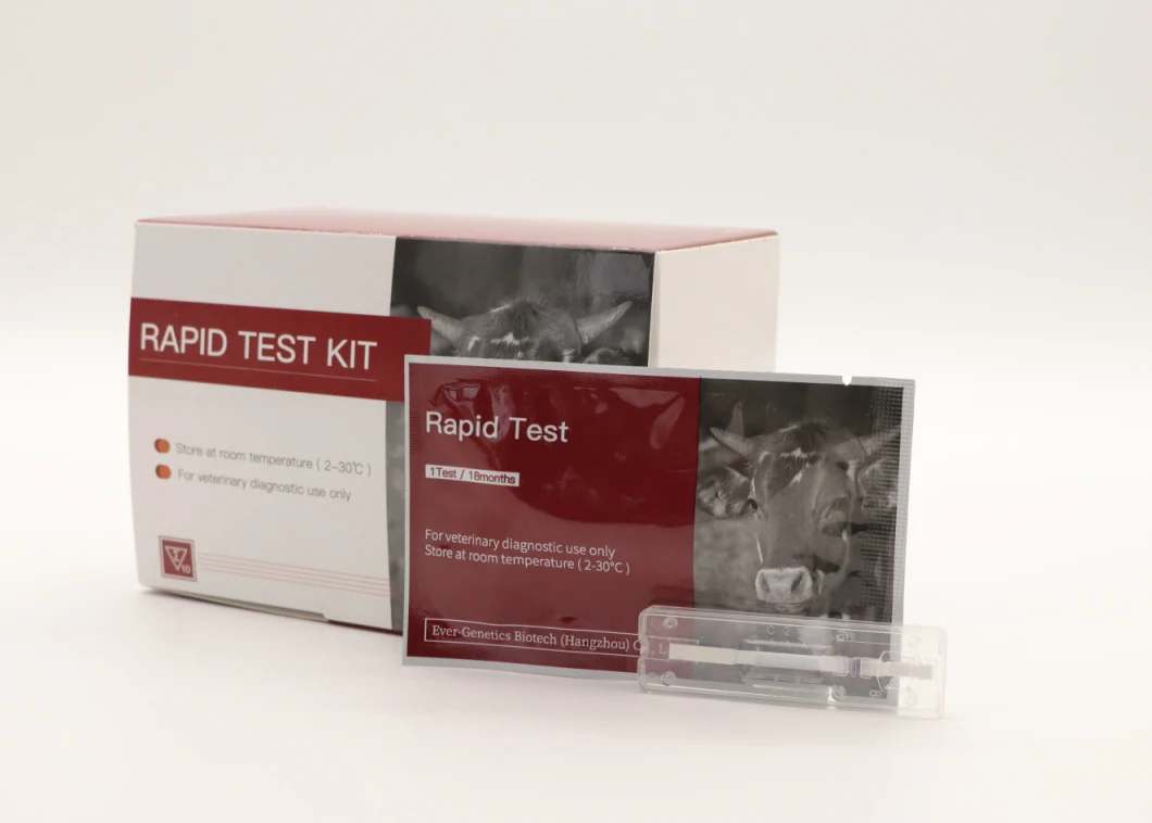 African Swine Fever Test Kit Pig Fever Antibody Rapid Test