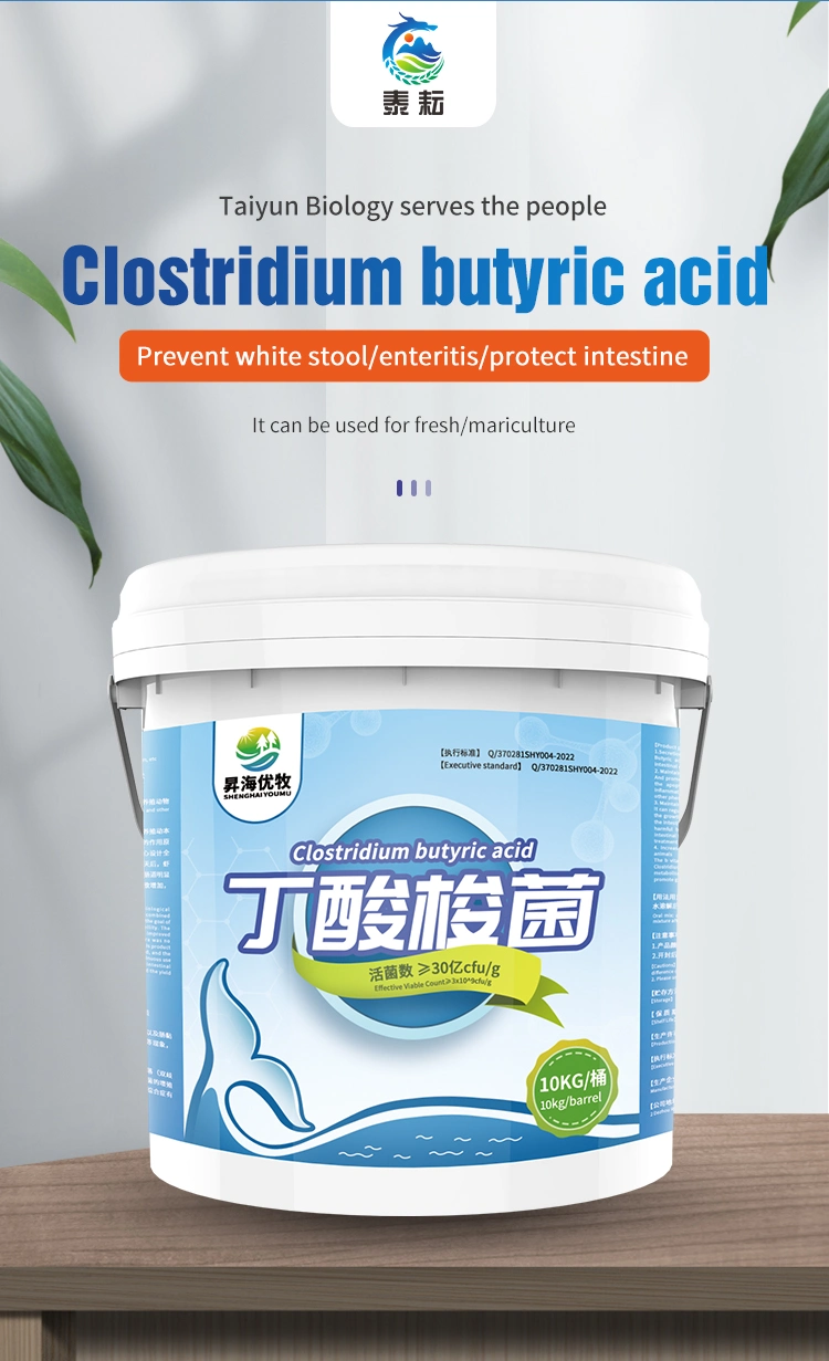 Clostridium Butyricum Feed Additive for Aquaculture Bacillus Probiotics