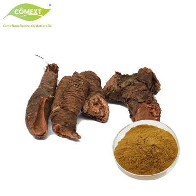 Suplemento dietético Natural Rhodiola Rosea Extract 10338-51-9 1% Salidroside 3% Rosavins