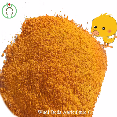 Proteína Isolada de Proteína de Ervilha em Pó CAS 222400-29-5 Isolado Orgânico Vegan em Pó Refeição Proteína de Ervilha