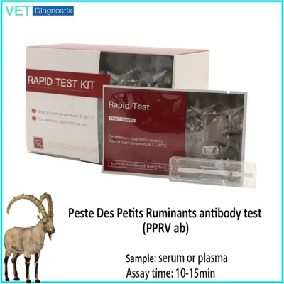 Diagnóstico Veterinário - Teste de Anticorpos de Ruminantes Peste Des Petits (PPRV ab)