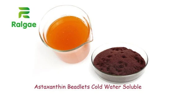 Astaxantina Beadlets 2% Solúvel em Água Fria Antioxidante Nutriente Dietética Saúde Nutrição