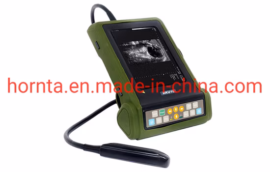 B-Scanner ultrassônico para gado ruminante