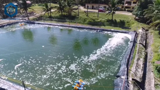 0,2 mm/0,5 mm/1,0 mm/2,0 mm Forro de folha de plástico preto CE/ASTM Viring Impermeabilização Geomembrana HDPE para agricultura/barragem/aterro/lago/biogás/projeto de aquicultura